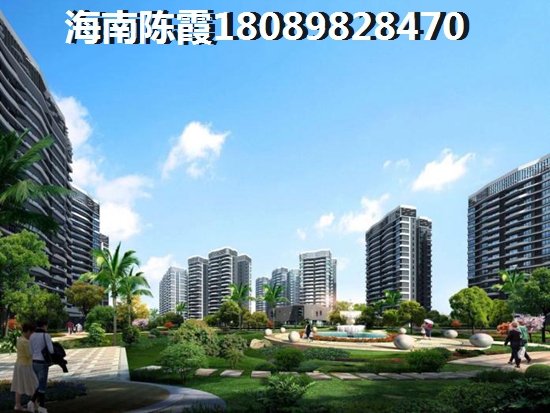 海南哪个楼盘的公寓生纸潜力大